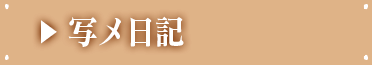 写メ日記